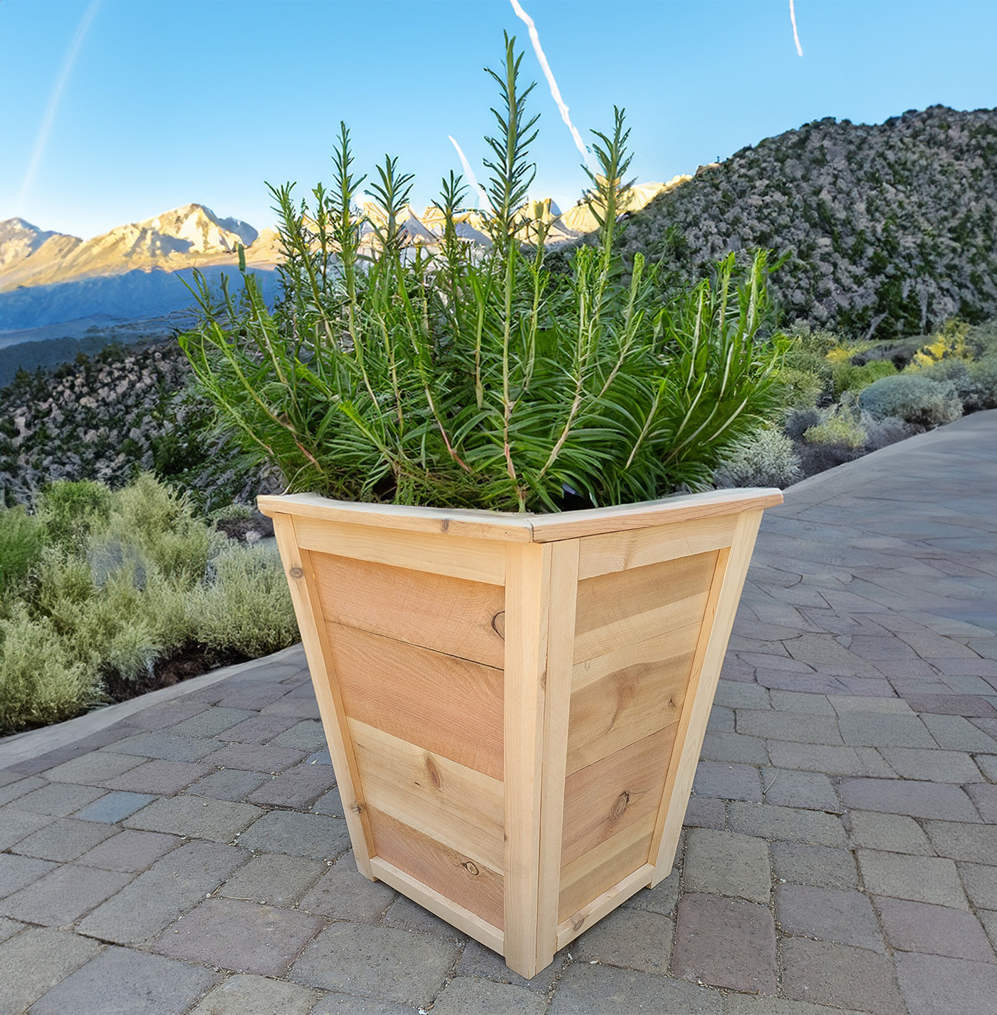 Tall Square Cedar Planter